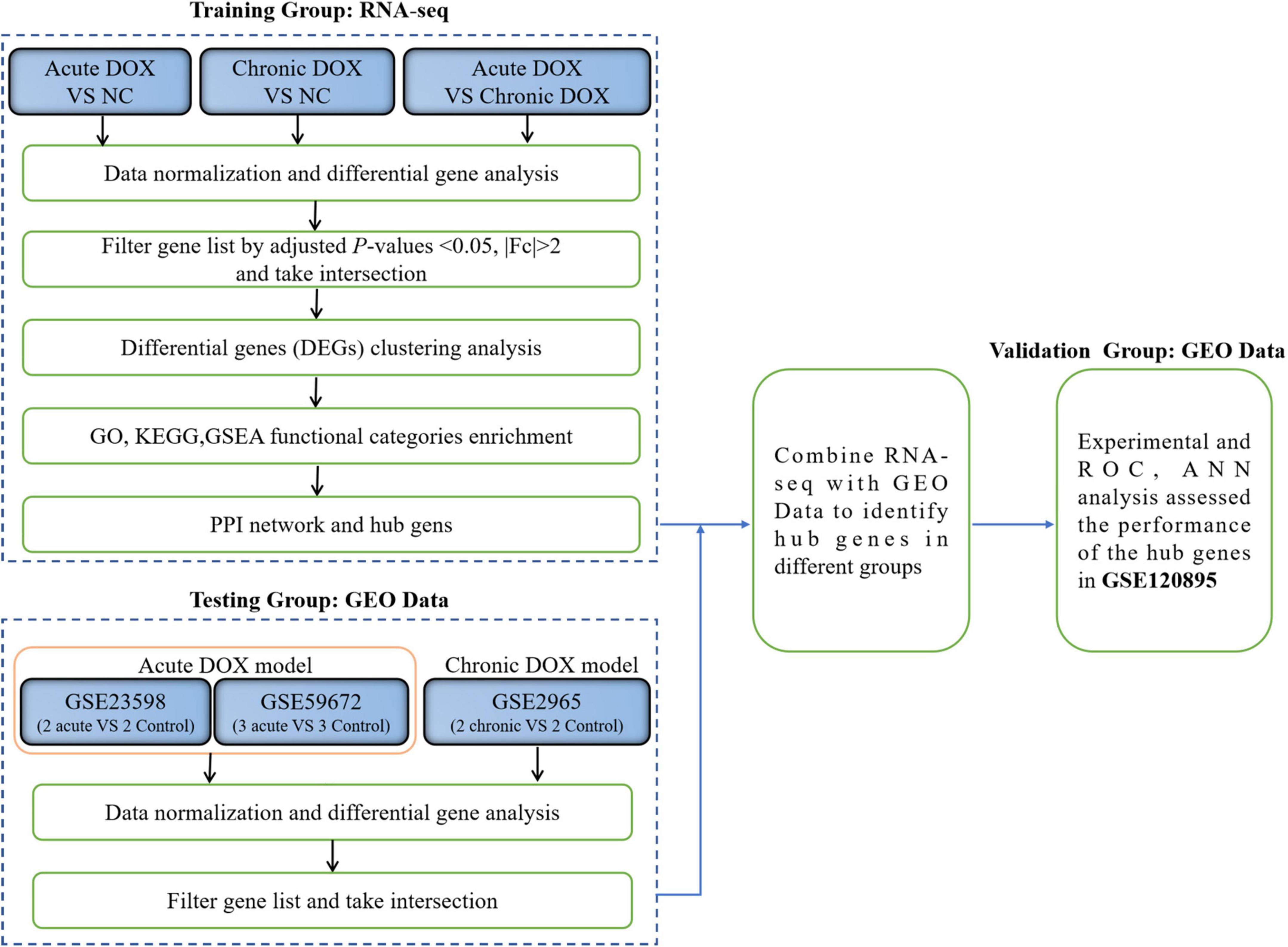 Identification of novel biomarkers involved in doxorubicin-induced acute and chronic cardiotoxicity, respectively, by integrated bioinformatics